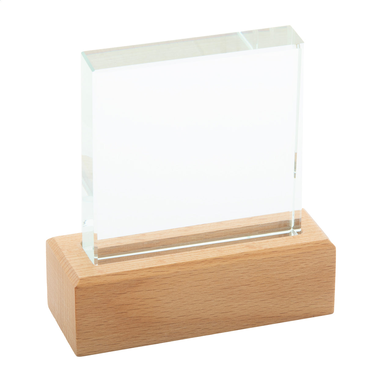 Rectofi Trofeo
