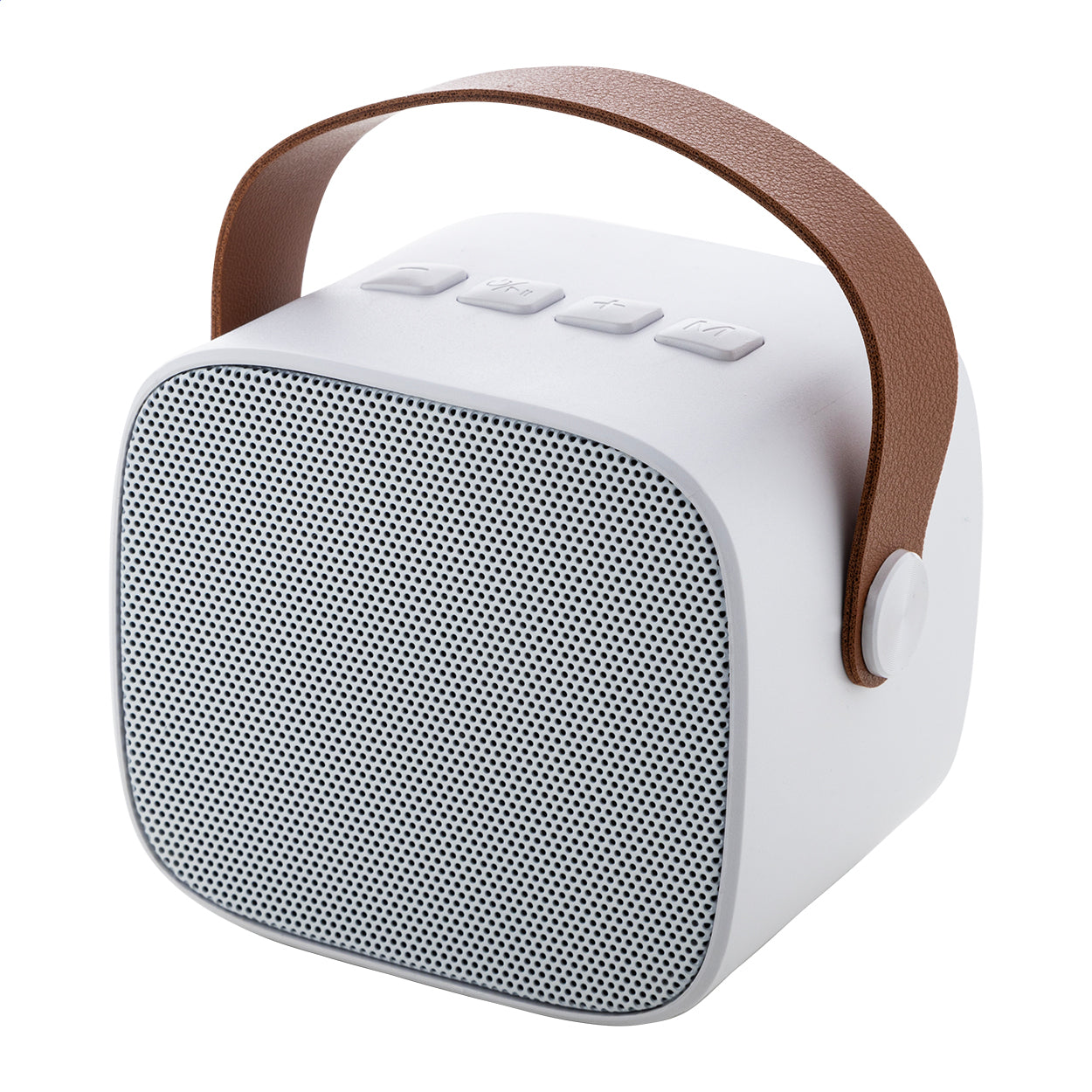 Rabeat Cassa wireless RABS