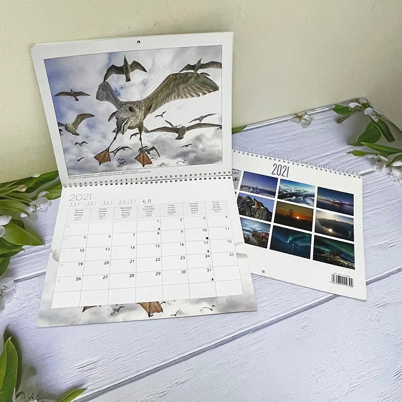 Two wall calendars