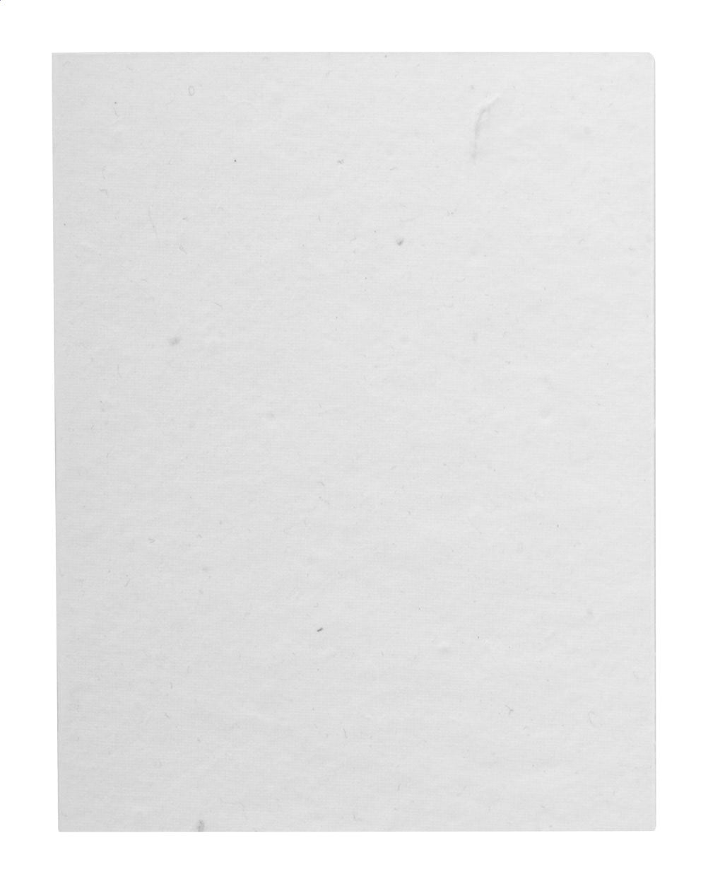 CreaStick Seed Note L Blocco appunti personalizzabile con fogli adesivi