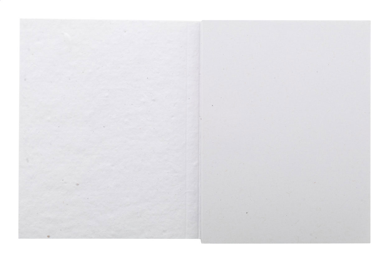 CreaStick Seed Note L Blocco appunti personalizzabile con fogli adesivi