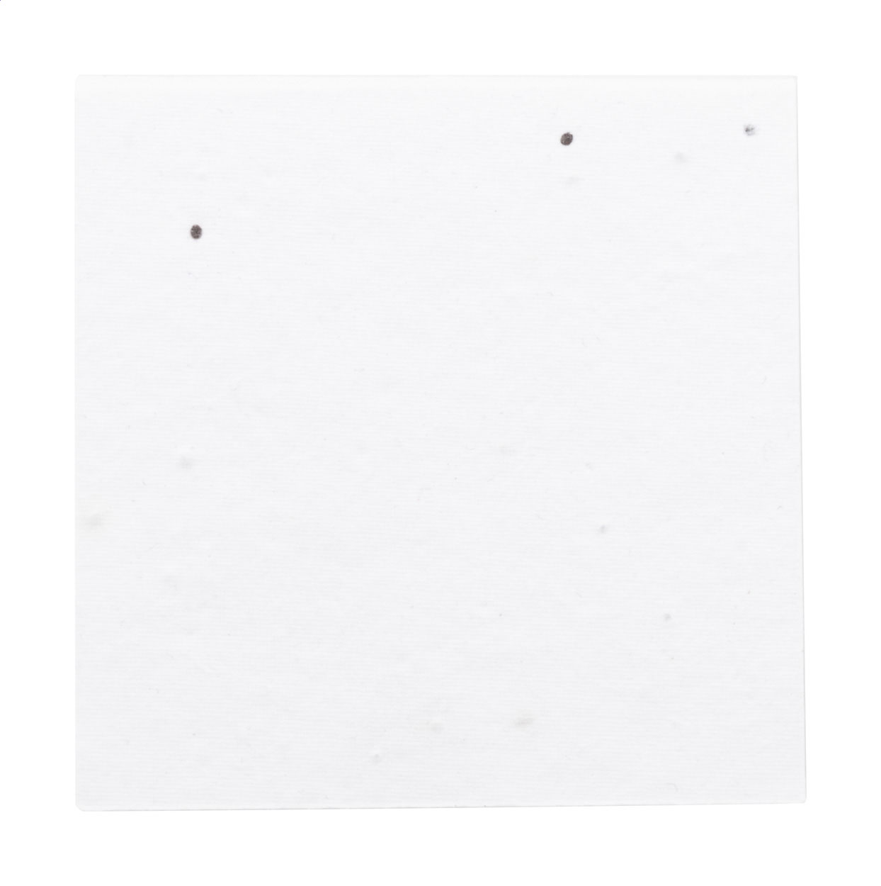 CreaStick Seed Note M Blocco appunti personalizzabile con fogli adesivi