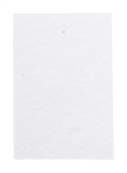 CreaStick Seed Note S Blocco appunti personalizzabile con fogli adesivi