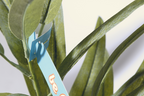 PlantTag etichetta personalizzabile per piante