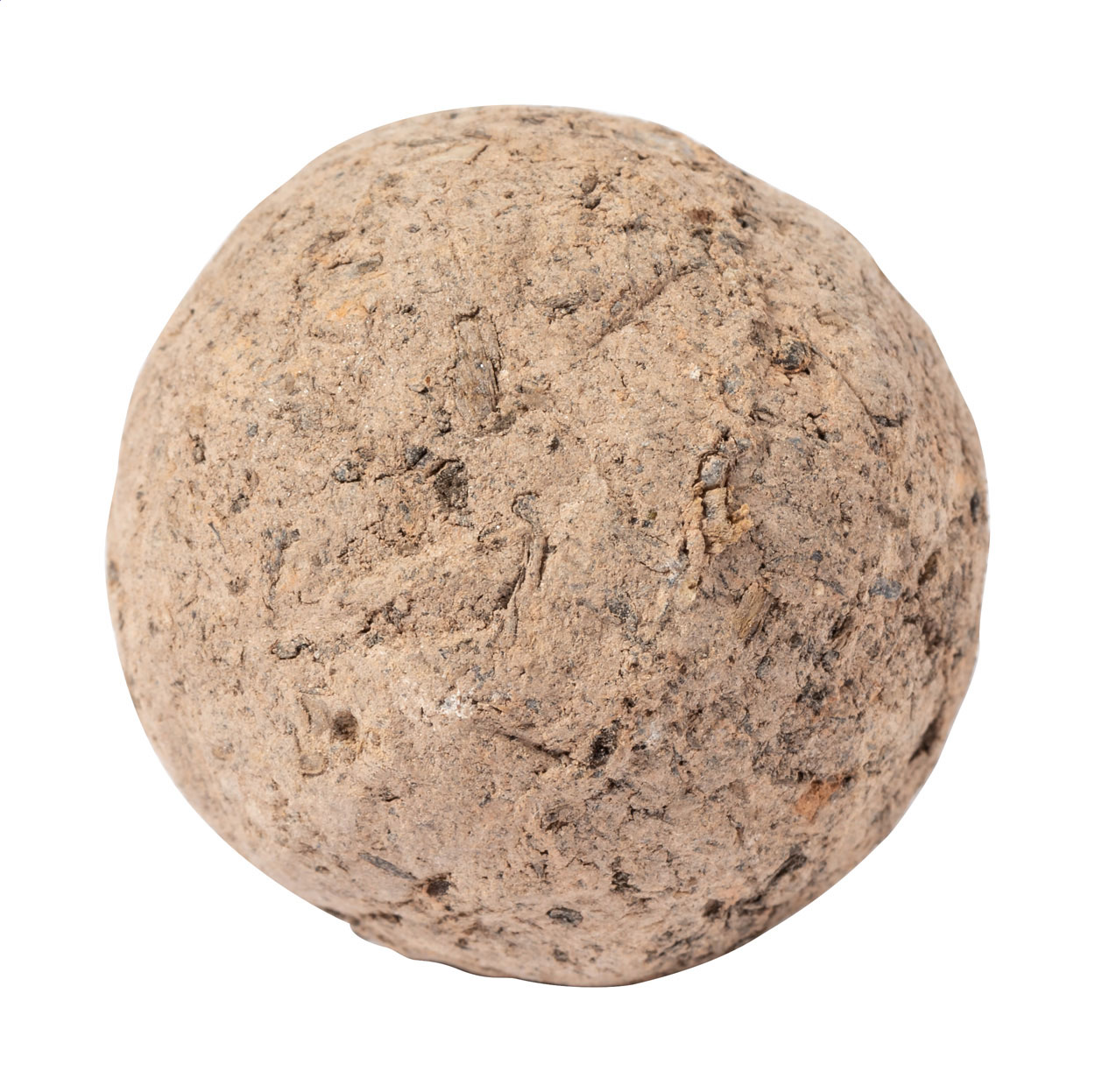 Flobba sfera con semi