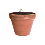 Flobba sfera con semi