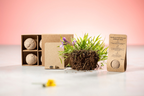 Flobba sfera con semi