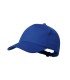 Cap Brauner