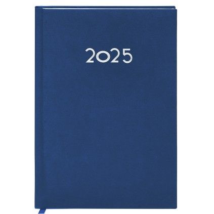 Diary Canek