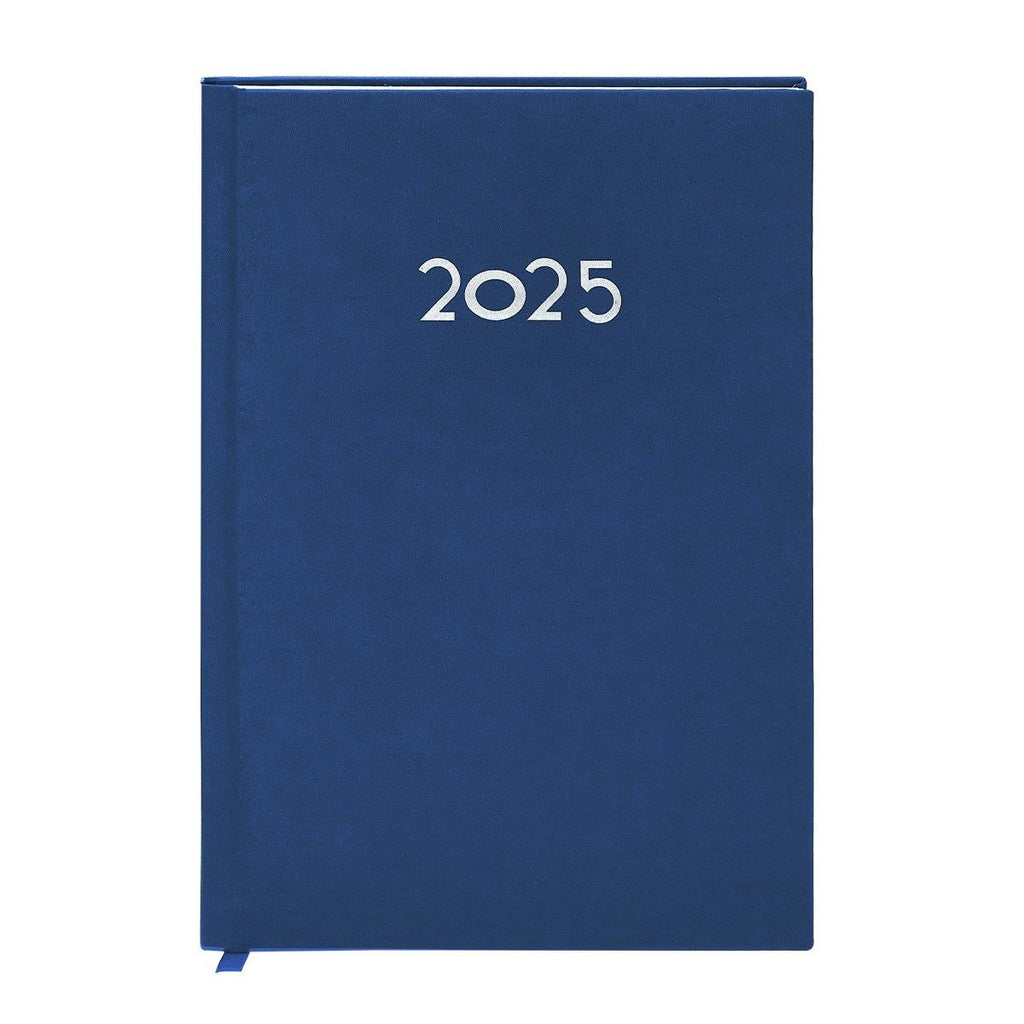 Diary Canek