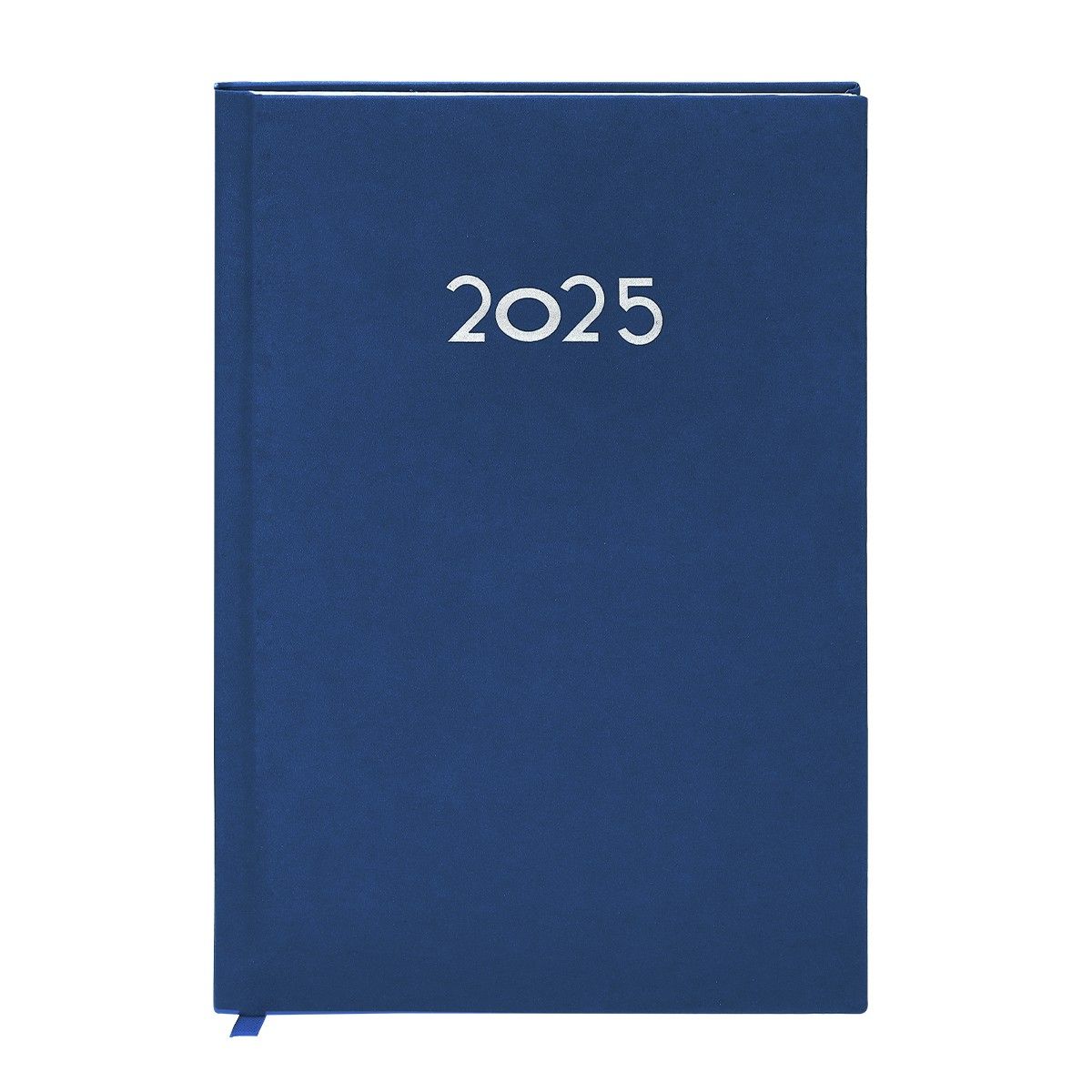 Diary Canek