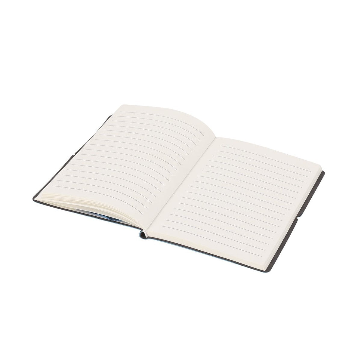 Notepad Vierax