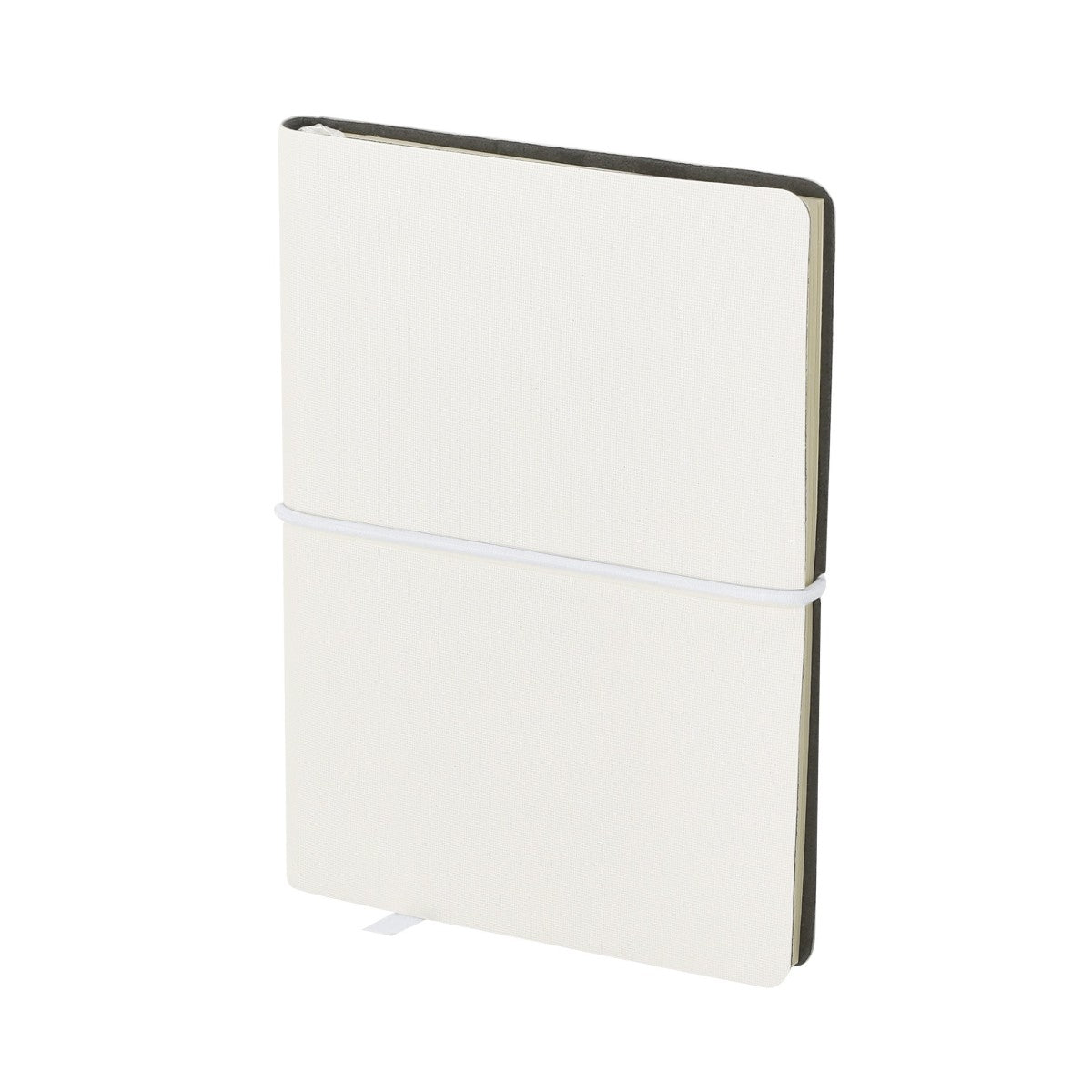 Notepad Vierax